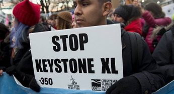 Keystone Oil Pipeline Gets Shut Down Following 210,000-Gallon Leak