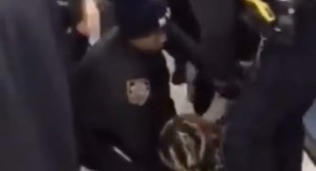 Charges Have Been Dropped Against New York Woman Whose Baby Was Ripped From Her Arms By Officers In Arrest That Was Recorded