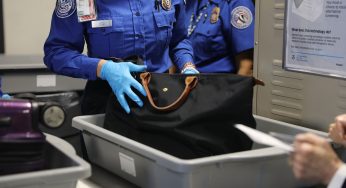A Block Of Raw Chicken Takes A Spin On An Airport Baggage Carousel