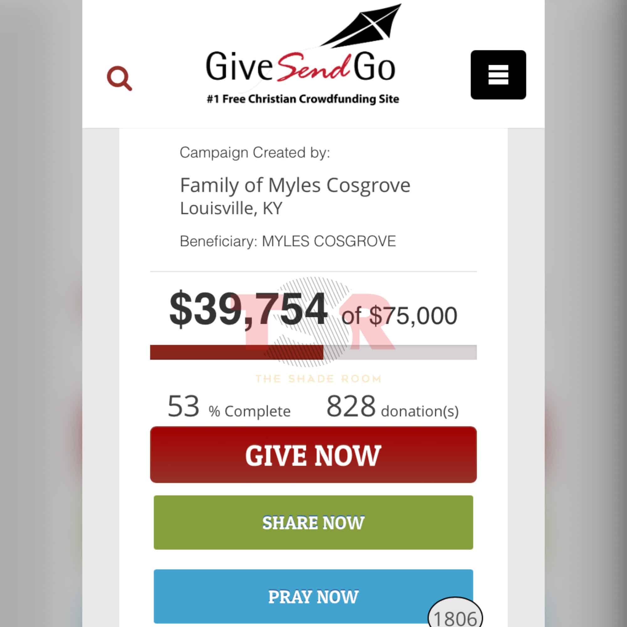 Screenshot of the donation site