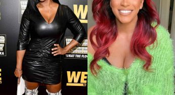 Kenya Moore Calls Out Drew Sidora On Twitter Over How Much The Film ‘Step Up’ Grossed