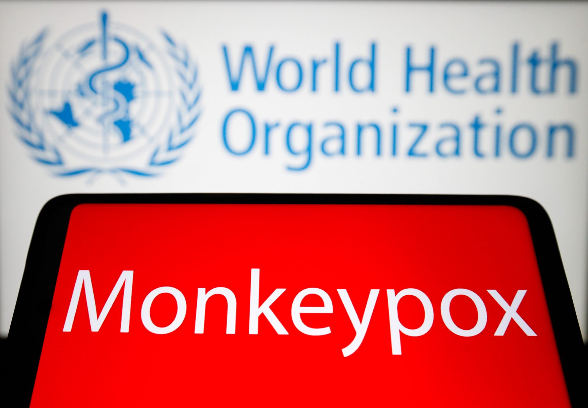 The World Health Organization’s adviser traces monkey cup outbreaks back to European raves, where gay men were intimate – “It seems that sexual contact has now intensified this transmission”