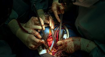 Researchers Are Hopeful For Success Of Pig Heart Transplants In Humans Following Latest Experiment