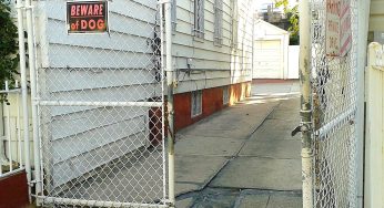 North Carolina Mother Mauled To Death By Pit Bulls She Was Dog-Sitting, Two Days After Family Warned Her Of Dogs