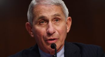 Dr. Fauci To Resign From Federal Government Roles After 38 Years