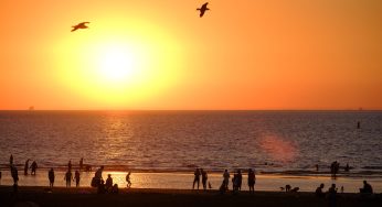 Recent Climate Crisis Research Data Predicts A Quarter Of The U.S. Could Be In Danger Of “Extreme Heat Belt” By 2053