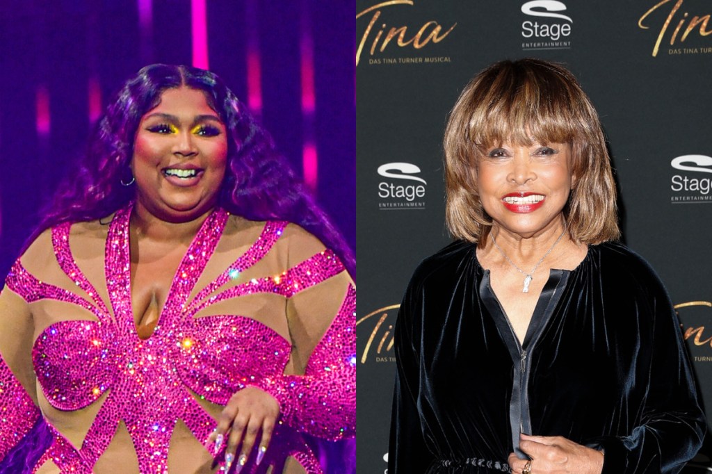 Lizzo Makes Tina Turner Comparison In Response To Critics Of Her Mainstream Success: 