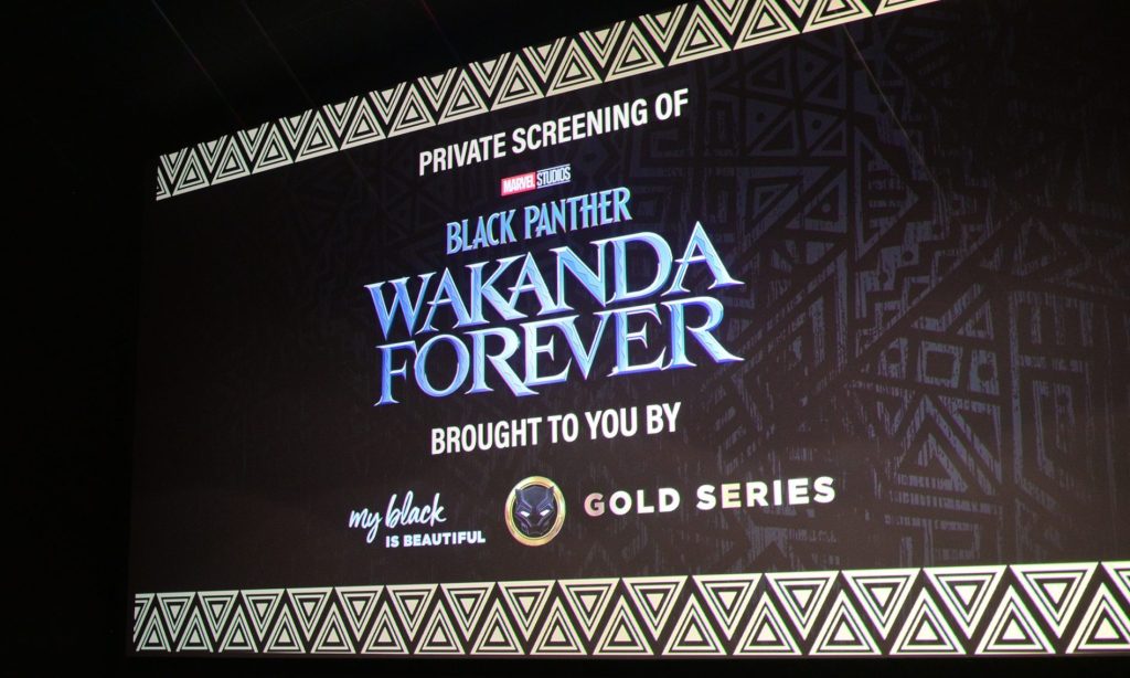 'Black Panther: Wakanda Forever' Makes Box Office History With $330 Million Opening Weekend