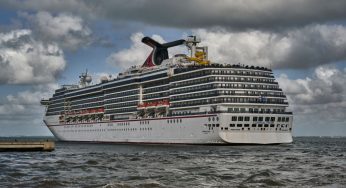Man Survives After Falling Off Carnival Cruise Ship And Literally Swimming With Sharks For Almost 20 Hours