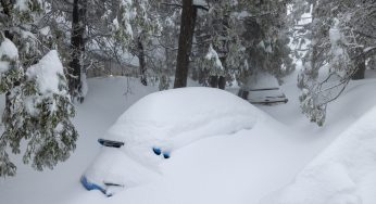 Man, 81, Survives On Candy And Croissants For Almost A Week After His SUV Got Stuck In Snow