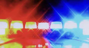 Dallas Teen Killed While Riding Stolen Horse On Freeway