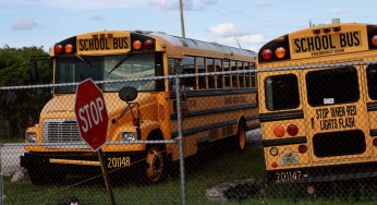 School Bus Monitor, 27, Charged After Nonverbal Six-Year-Old Girl Fatally Chokes On Wheelchair Harness