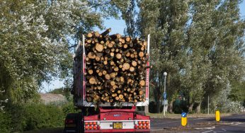 Florida Woman Dies After Crashing Into Semi-Truck Hauling Wooden Logs, Reportedly Failed To Maintain “Safe Distance”