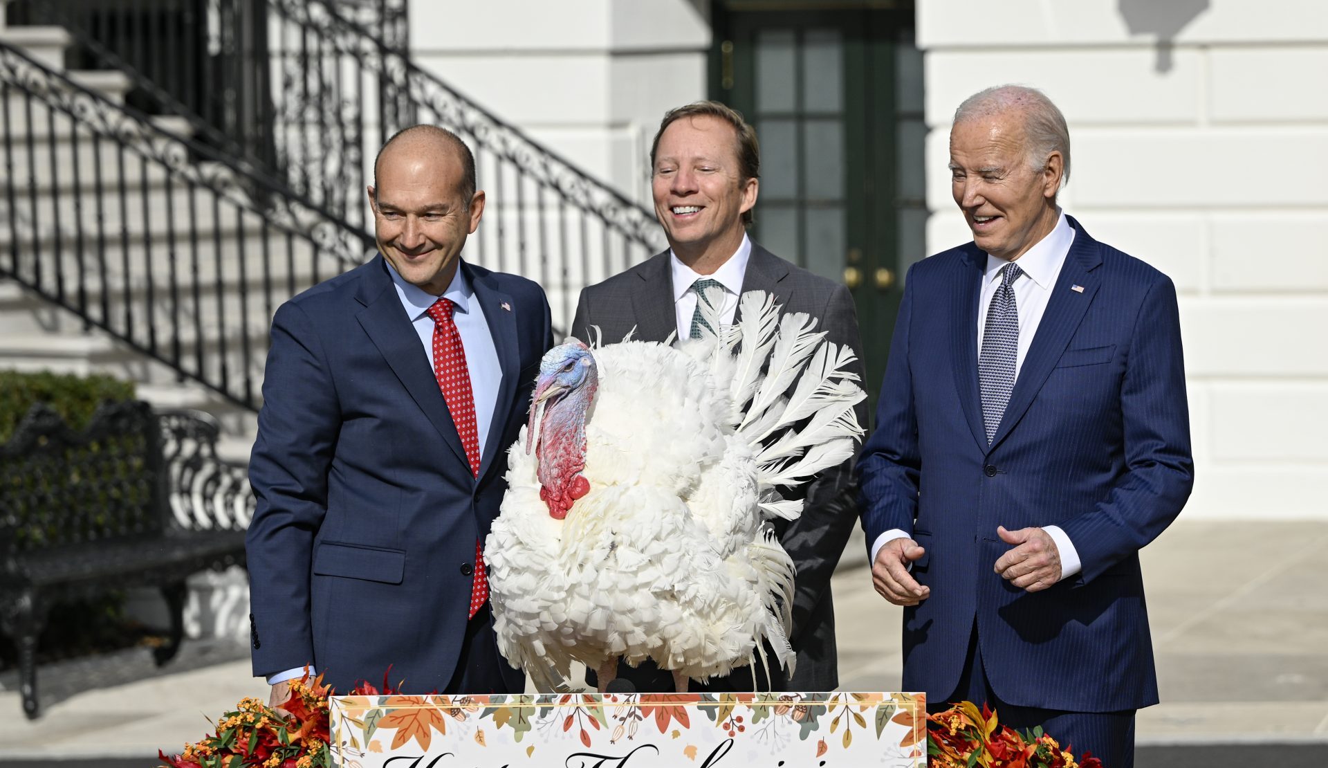 President Biden Pardons National Thanksgiving Turkeys On His 81st Birthday thumbnail