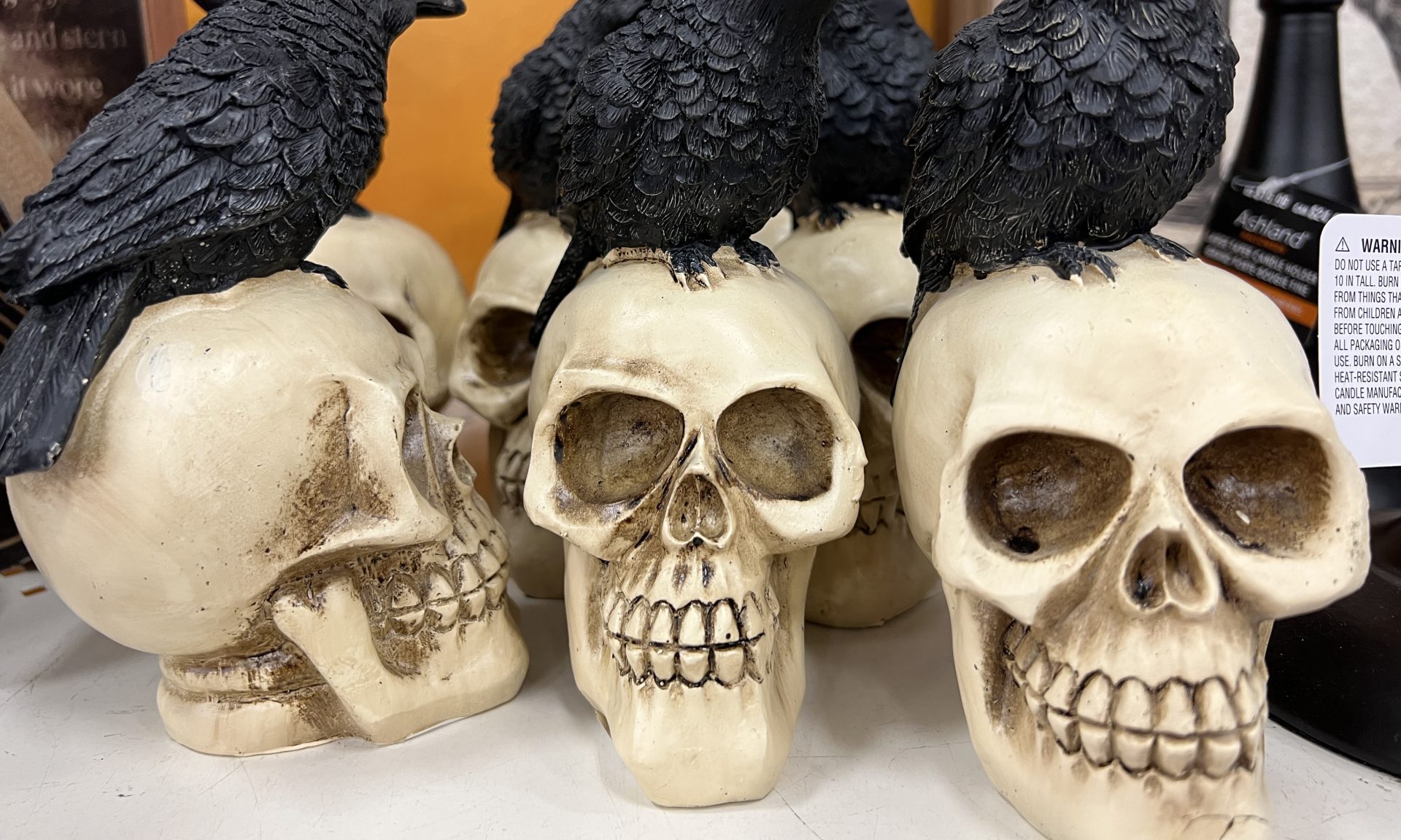 Police Investigating Case Of Human Skull Found In Antique Store's Halloween Section