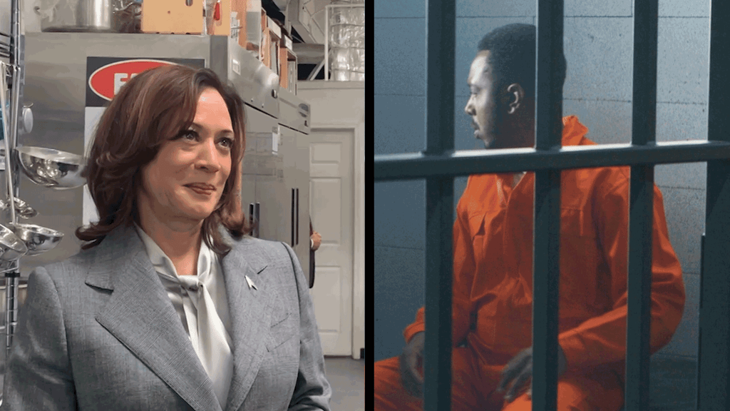 Business Loans For Ex-Prisoners? VP Kamala Harris Steps In To Discuss Her Plan | TSR Investigates