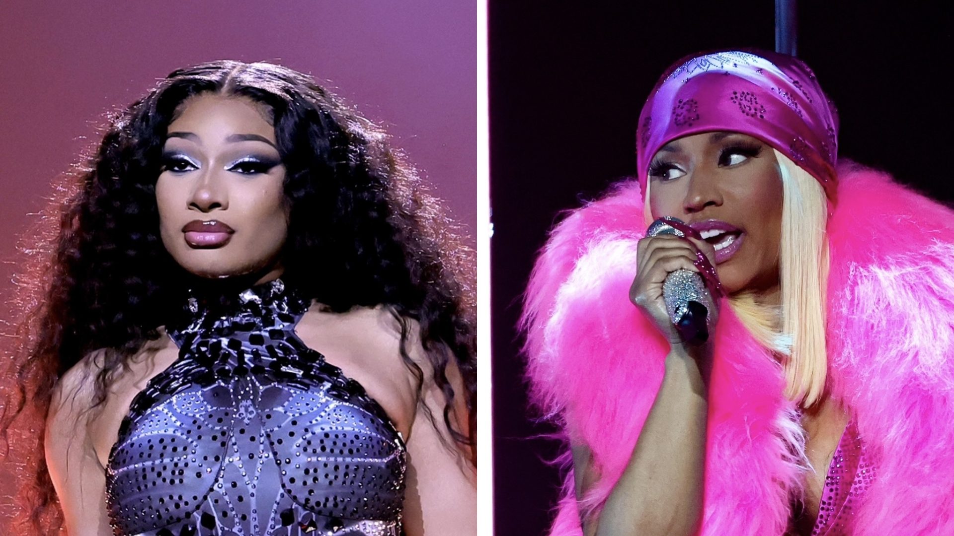 Megan Thee Stallion Disses Nicki Minaj, Social Thinks (LISTEN)