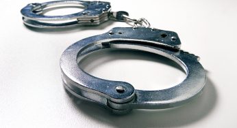 21-Year-Old Arrested After Two Colorado Middle School Students Reportedly Overdose On “Magic Mushrooms”
