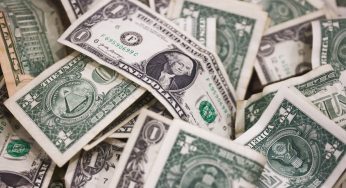 Come Again? Judge Sentences Florida Woman For Scamming Grandmother Of $317,000