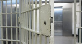 Say WHAT?! Indiana Father Convicted After 6-Month-Old Son Is Reportedly Found With Over 50 Rat Bites