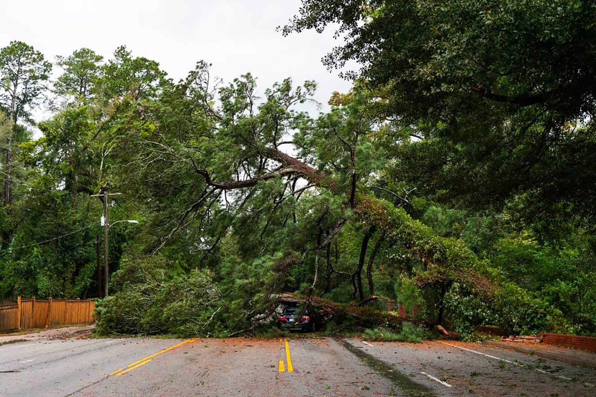 Hurricane Helene: SC Couple Killed By Fallen Tree Found Hugging