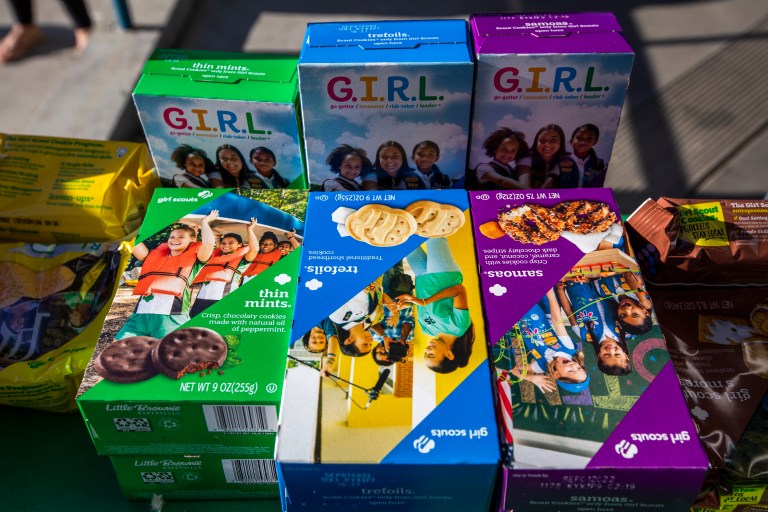 Oh Wow! Girl Scouts Sued Over Alleged Heavy Metals & Pesticides In Its Cookies