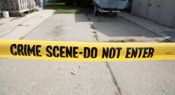 Say WHAT!? Michigan Woman Stabs Dog & Shares Footage On Social Media Before Fleeing The State