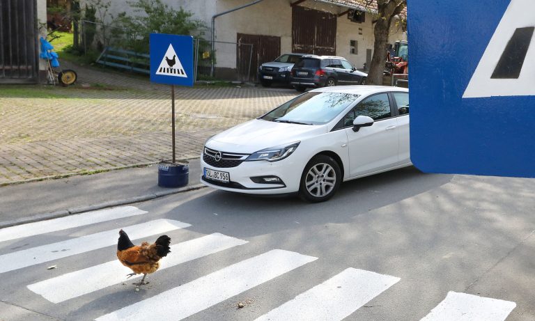 cynthia-sosa-florida-woman-allegedly-attacks-driver-after-they-hit-chicken-crossing-the-road Perla DeMiller