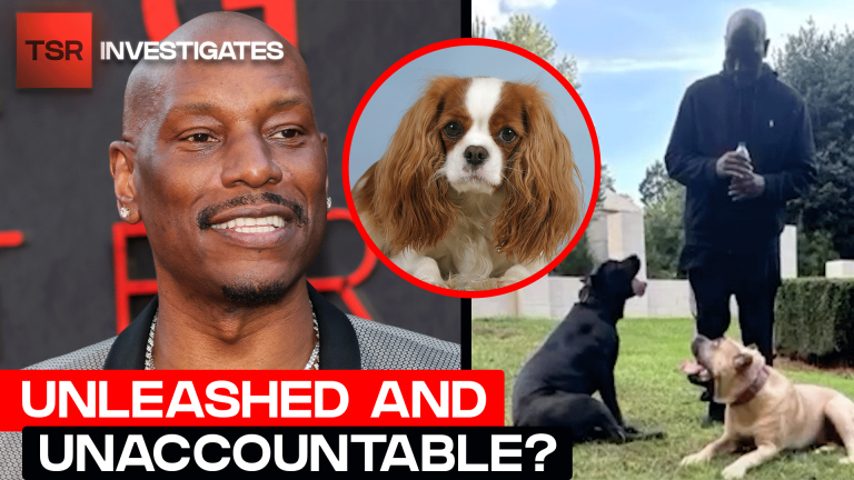 Tyrese Gibson Facing Charges After Dog Attack in Atlanta Neighborhood | TSR Investigates