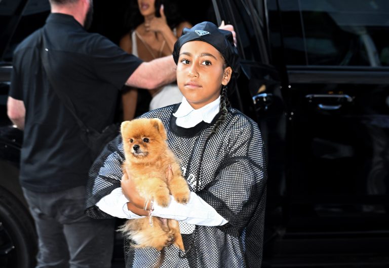 Social Media Pops OFF After North West Flexes Her New Piercing