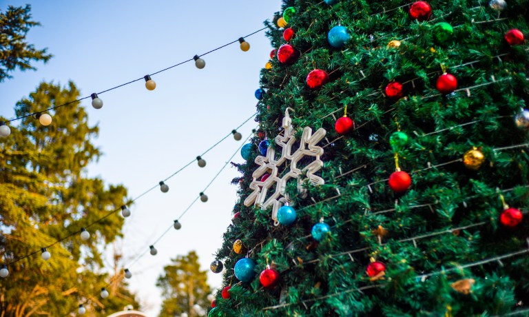 Teen Killed & Several Others Wounded After Chicago's Christmas Tree Lighting Celebration