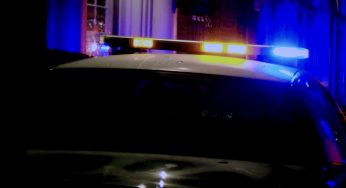Florida Woman Sentenced After Shooting Deputy With Hidden Gun While Handcuffed (VIDEO)