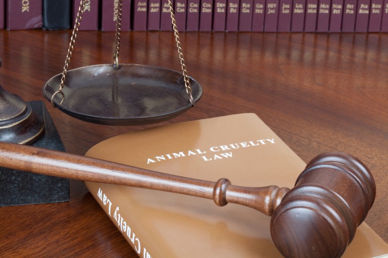 Aspen Kartier’s Mugshot Released After She Was Arrested And Later Released On Animal Cruelty Charges (PHOTOS)