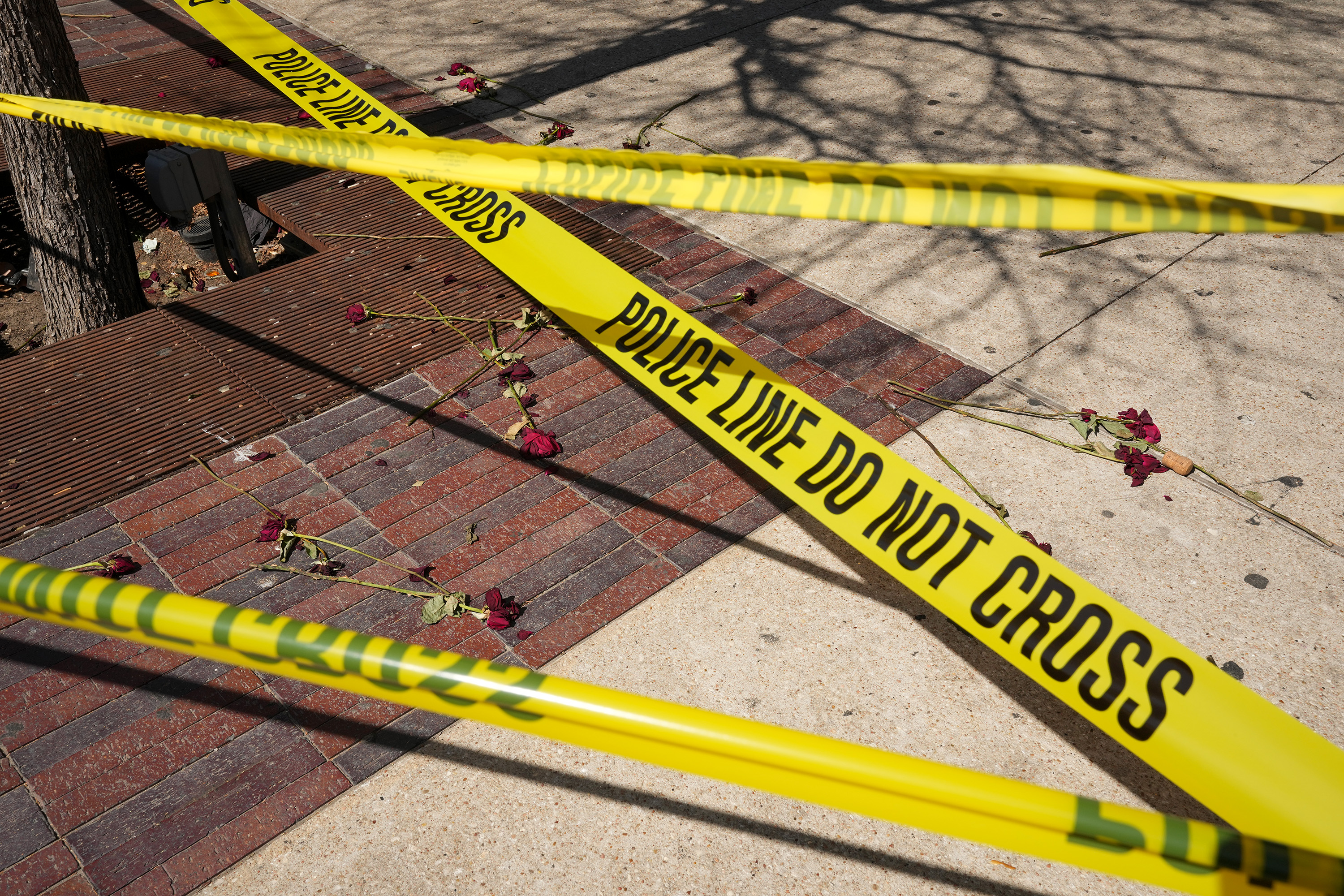 Louisiana Mom’s Condition Revealed After Alleged Boyfriend Shamar Elkins Shot Her And Killed Their 3 Children (UPDATE)