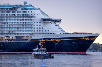 28 Disney Cruise Staffers Detained In Child Exploitation Investigation Amid Federal Probe (PHOTO + VIDEO)
