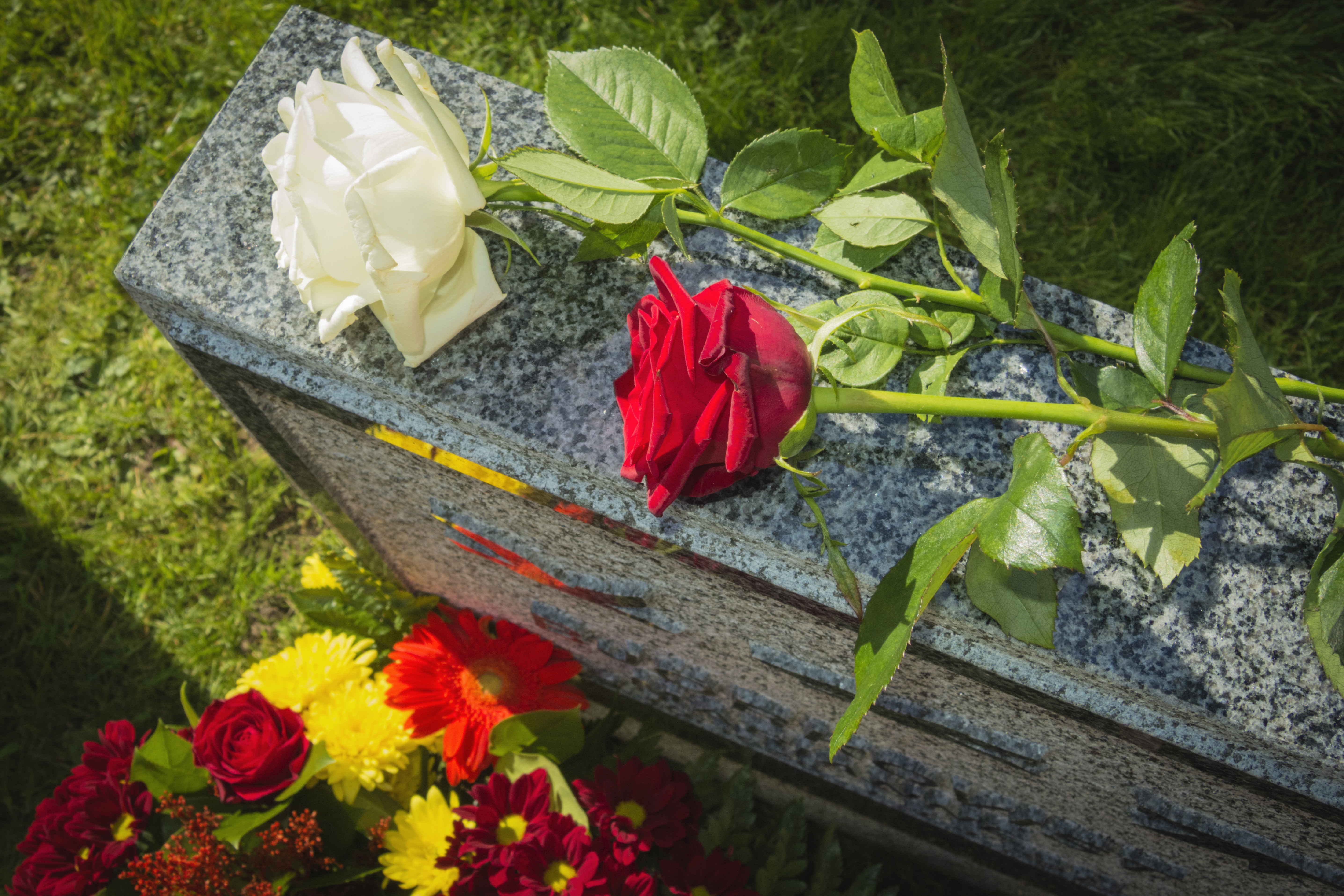 UPDATE: Ashlee Jenae’s Fiancé Joe McCann Breaks His Silence & Releases Statement As She Is Laid To Rest