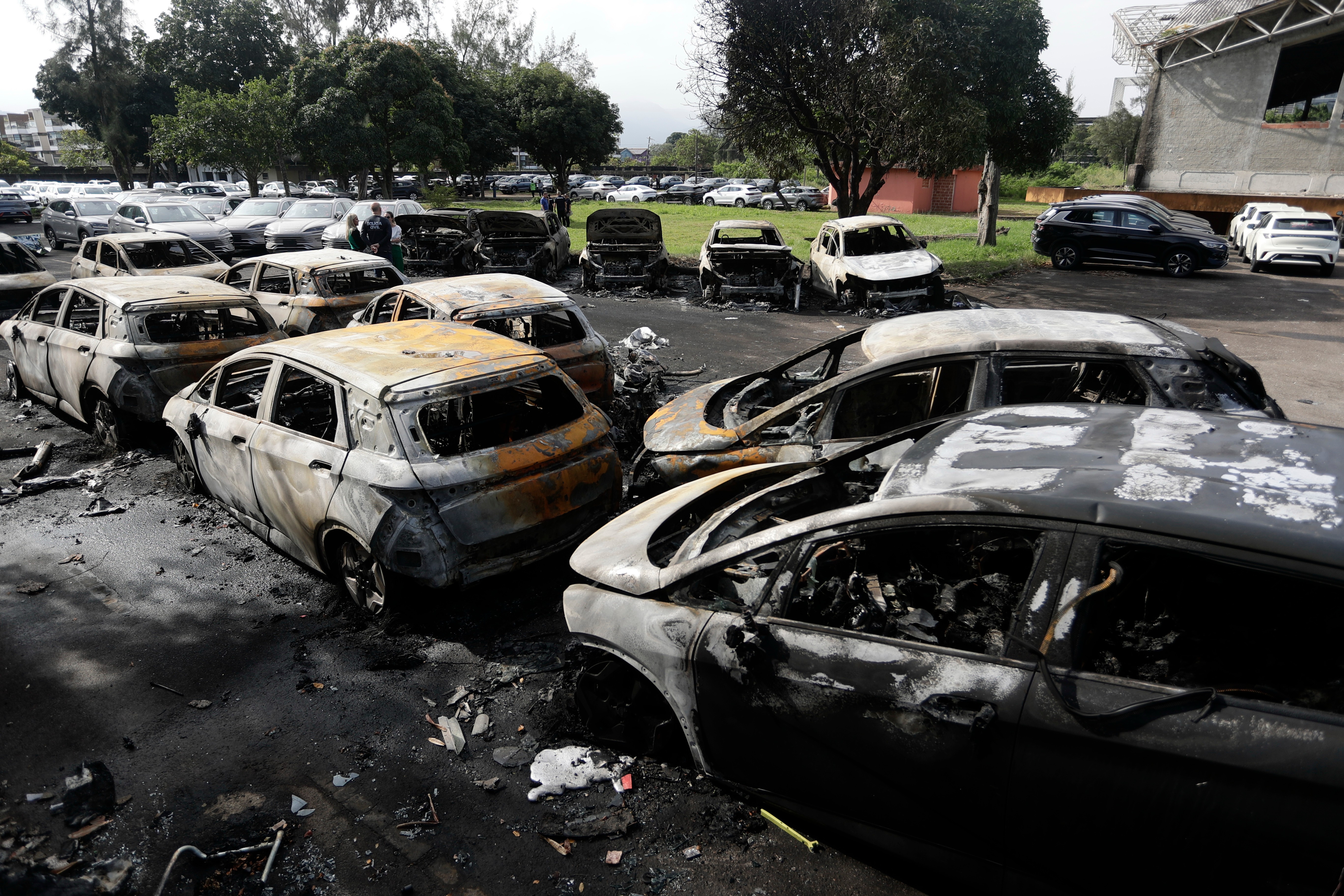 Oliver Tree and Five Others Killed in Helicopter Crash in Brazil Oliver Tree and Five Others Killed in Helicopter Crash in Brazil