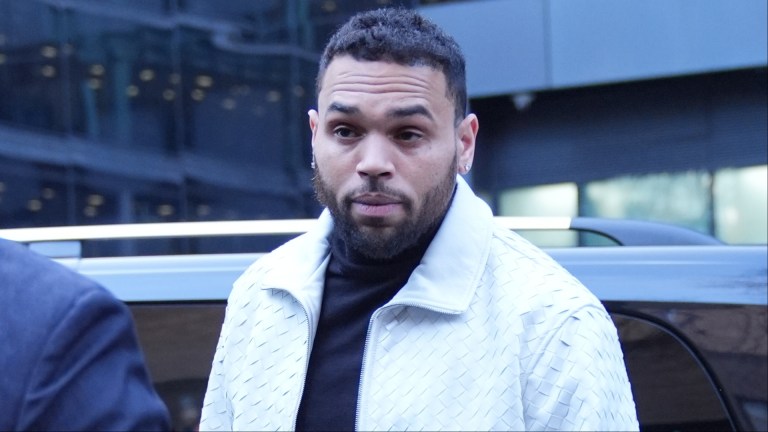 Chris Brown Ordered To Pay $13 Million After His Dog Allegedly Disfigured His Housekeeper (UPDATE) Chris Brown Ordered To Pay $13 Million After His Dog Allegedly Disfigured His Housekeeper (UPDATE)