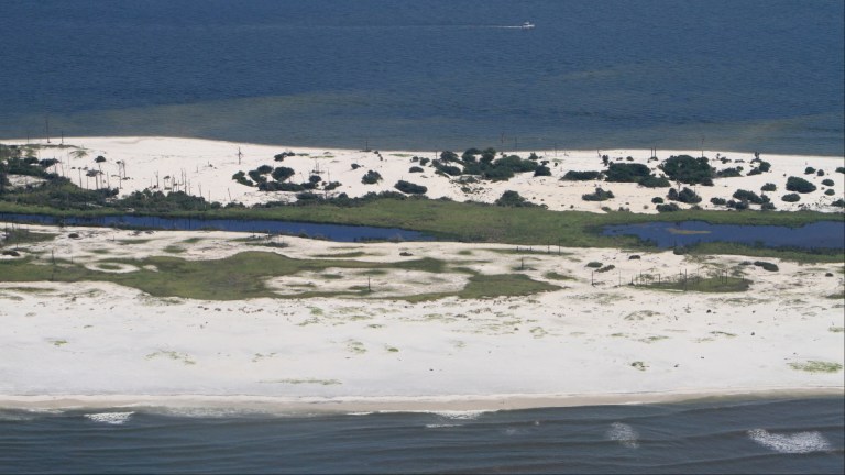 Nolan Xavier Wells’ Friends Reportedly Speak Out As His Remains Are Recovered On Horn Island (UPDATE) Nolan Xavier Wells Nolan Xavier Wells' friends Nolan Xavier Wells Horn Island Nolan Xavier Wells' remains Horn Island Mississippi