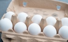Social Media Sounds OFF After Massive Egg Recall Sparks Possible Salmonella Concerns