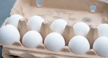 Not Breakfast Too?! Social Media Sounds OFF After Massive Egg Recall Sparks Possible Salmonella Concerns