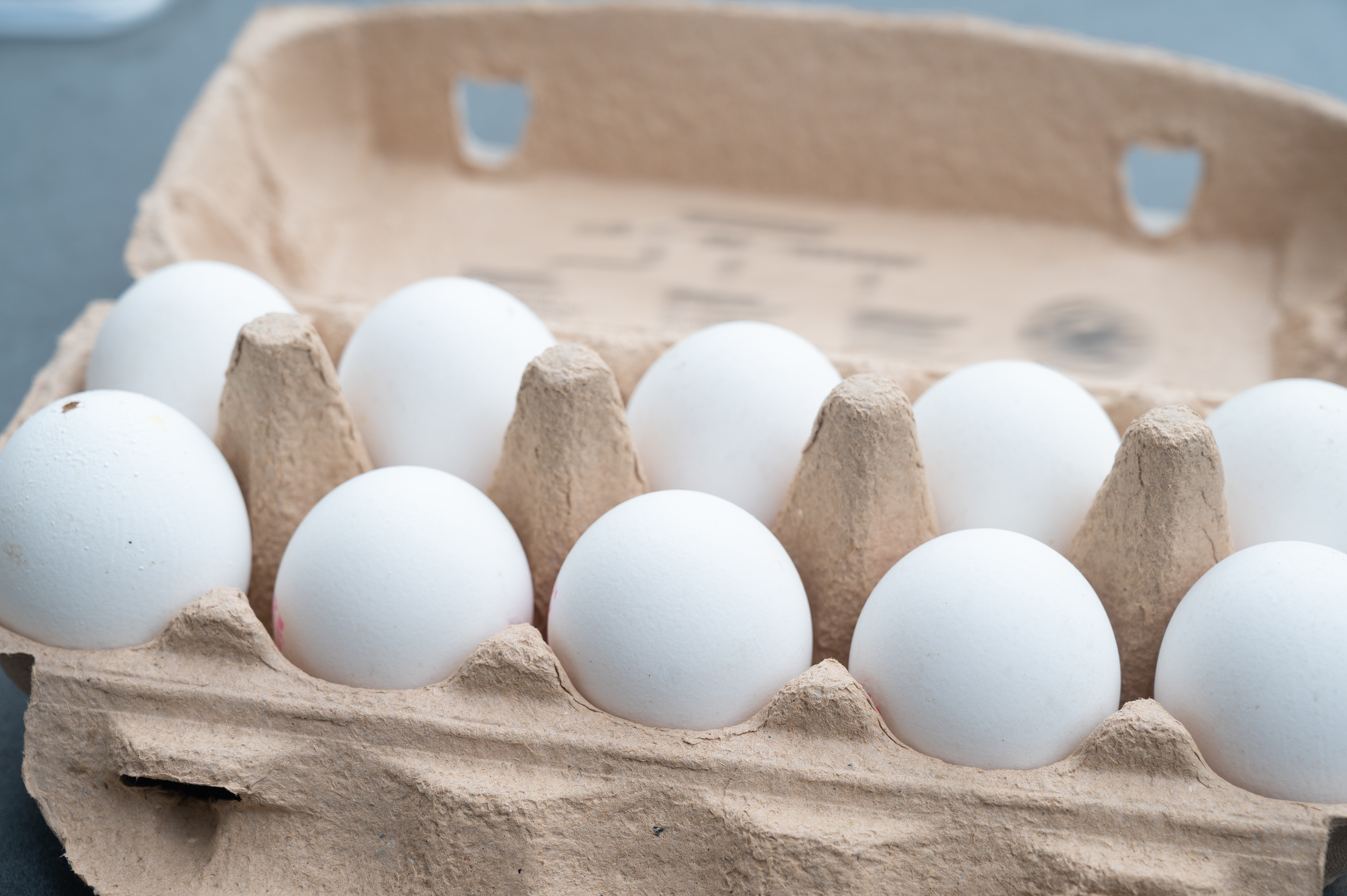 Not Breakfast Too?! Social Media Sounds OFF After Massive Egg Recall Sparks Possible Salmonella Concerns