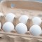 Latest Celebrity Not Breakfast Too?! Social Media Sounds OFF After Massive Egg Recall Sparks Possible Salmonella Concerns : <span style="font-size:200%;color:yellow;">&starf;&starf;&starf;</span>
 realFact