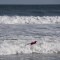 Sir Audley Sykes 17-Year-Old Drowns At Rockaway Beach After Allegedly Urging Lifeguards To Save His Friend