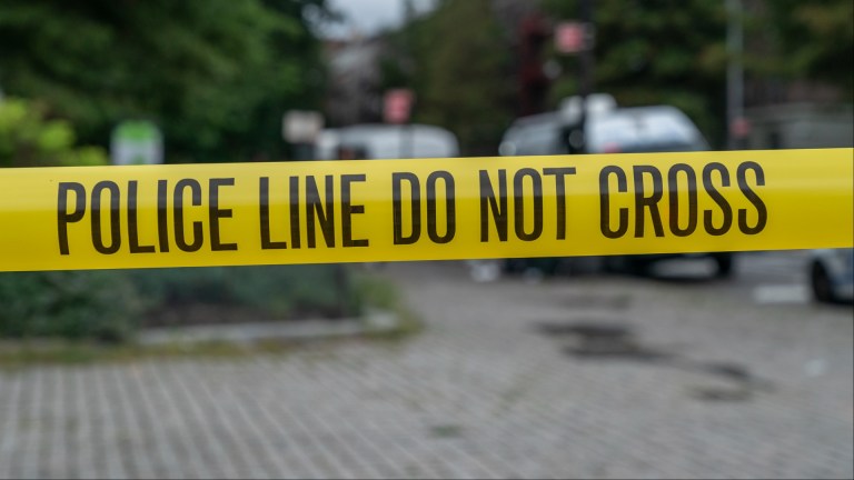 New York man Damon Foy dismembered ex-girlfriend Alberta Dale severed head suitcase flower